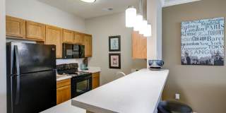 Summit Pointe Gallery 14