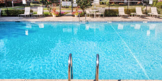 Homestead Gardens Apartments Gallery 17