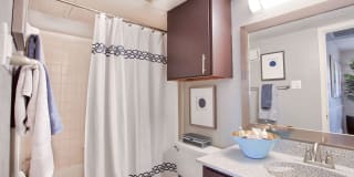 The Trails Apartments Gallery 5