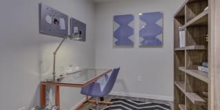 Spruce Gallery 18