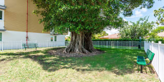 Sophia Square Gallery 18