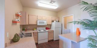 San Croix Gallery 21