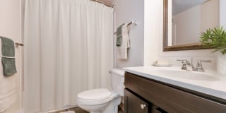 The Apartments at Charles Plaza Gallery 21