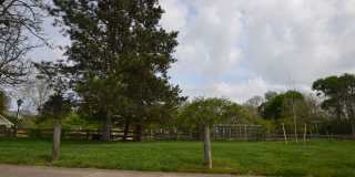 Newly Renovated 4 Bedroom Near Franklin Park- First month rent free Gallery 19