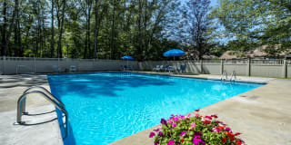 Redwood Hills Gallery 27