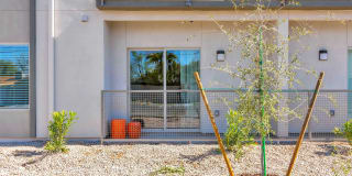 Allora Phoenix Gallery 14