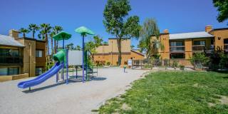 Desert Ridge Gallery 29