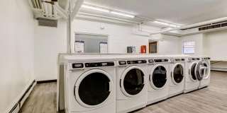 Bears Village Gallery 17