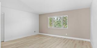 The Cadence Gallery 17