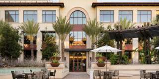 Springline Menlo Park Gallery 17