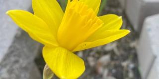 65 Amherst Street Gallery 17