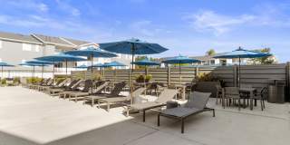 The Turnberry Gallery 21