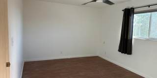 56 Emerald Court Gallery 13