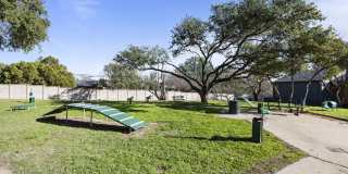 Lavera at Lake Highlands Gallery 28