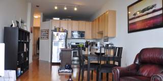 464 South Michigan Ave. Gallery 3