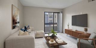 4200 Paradise Gallery 12