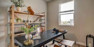 The Lanterns at Brighton Crossings Gallery 11