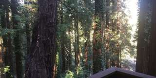 100 Wildomar Street Gallery 1