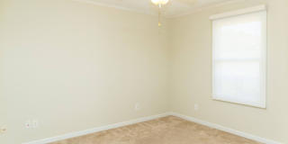 PET FRIENDLY!!!!!! Gallery 10