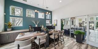 ReNew Pinehurst Gallery 25