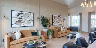 Prose Riviana Gallery 5