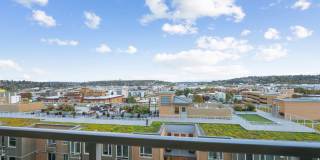 Leva on Market Gallery 19