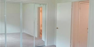 2219 Pine Shore Court Gallery 14