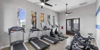 The Ava and Aria Gallery 20