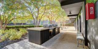 ReNew Mt. Vernon ReNew Mt. Vernon Gallery 65