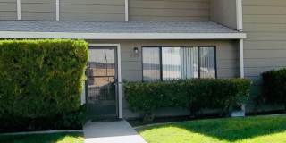 AVAILABLE NOW!!! Gallery 1