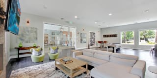 Avion Gallery 25