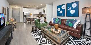 Linq at North Springs Gallery 6