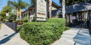 Parthenia Terrace Apartments Gallery 45