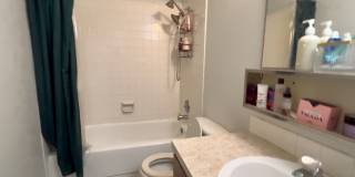 Adorable Condo in West Fort Collins Gallery 12