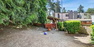 Northline Gallery 18