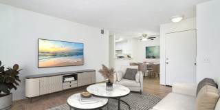 The Village Gallery 80