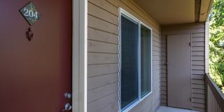 Tamaron Ranch Gallery 49