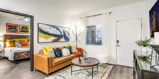 Domain Gallery 11