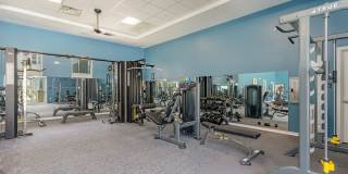 The Banks at Bridgewater Gallery 6