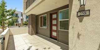 258 Sash Gallery 1