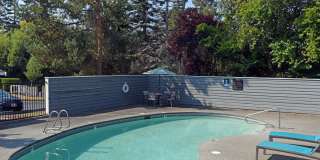 Spinnaker Apartments Gallery 30