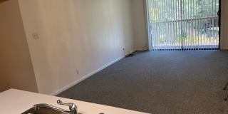 Shelter Creek Condo 1/1 available now Gallery 5