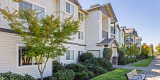 Sofi at Cedar Mill Gallery 46