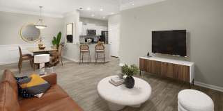 Walden Ridge Gallery 4