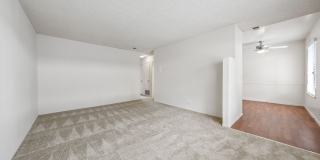 Cielo Gallery 31
