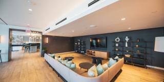 Aven Aven Gallery 29