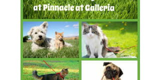 Pinnacle at Galleria Luxury Apartments Gallery 26