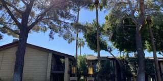 6925 E 4TH Street Gallery 40