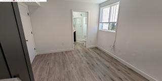 Private Bedroom w Personal Bathroom & Shower, shared student-oriented space **PET-FRIENDLY FLOOR** Gallery 4
