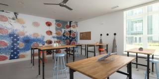 The Leo LoSo The Leo LoSo Gallery 23